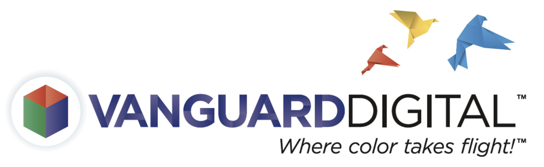 Vanguard Digital Logo
